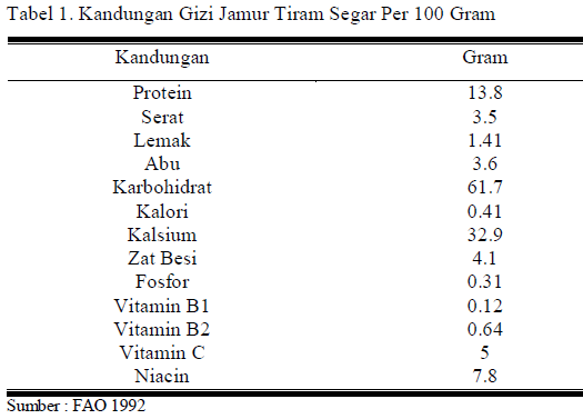 gizi jamur liar